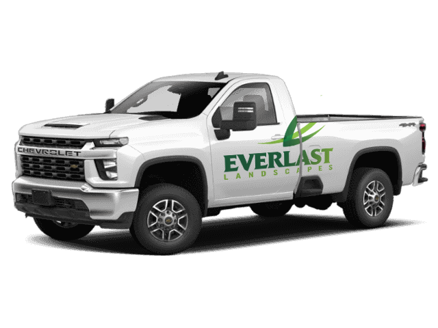 everlast_hd_logo